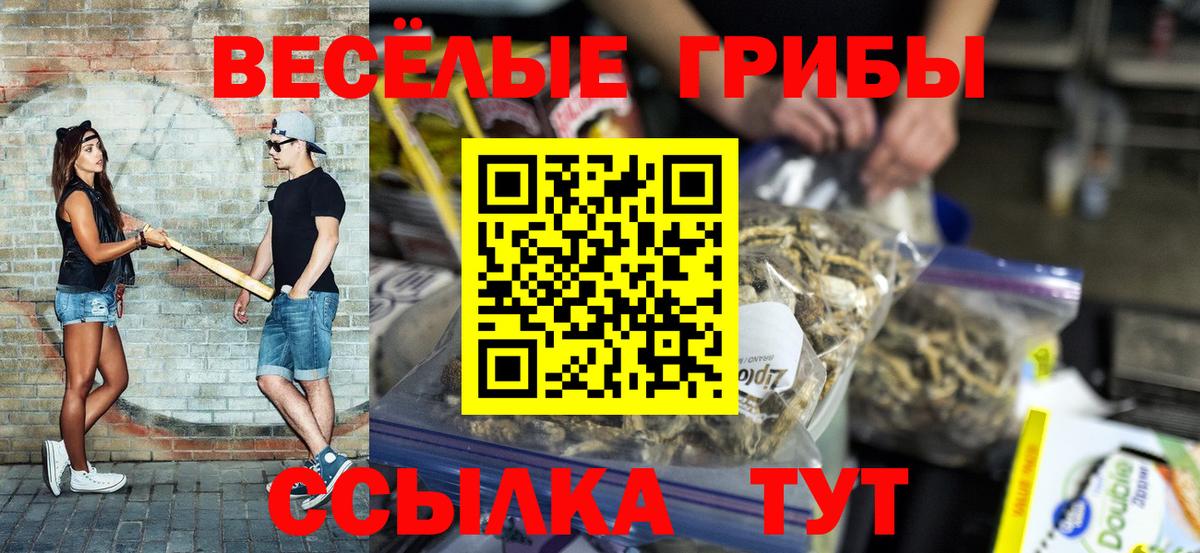 Псилоцибиновые грибы мухоморы Заринск